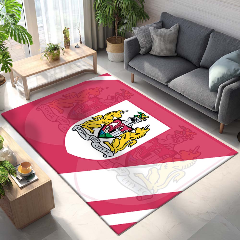 Bristol City FC EFL Championship 05 Teppich 2