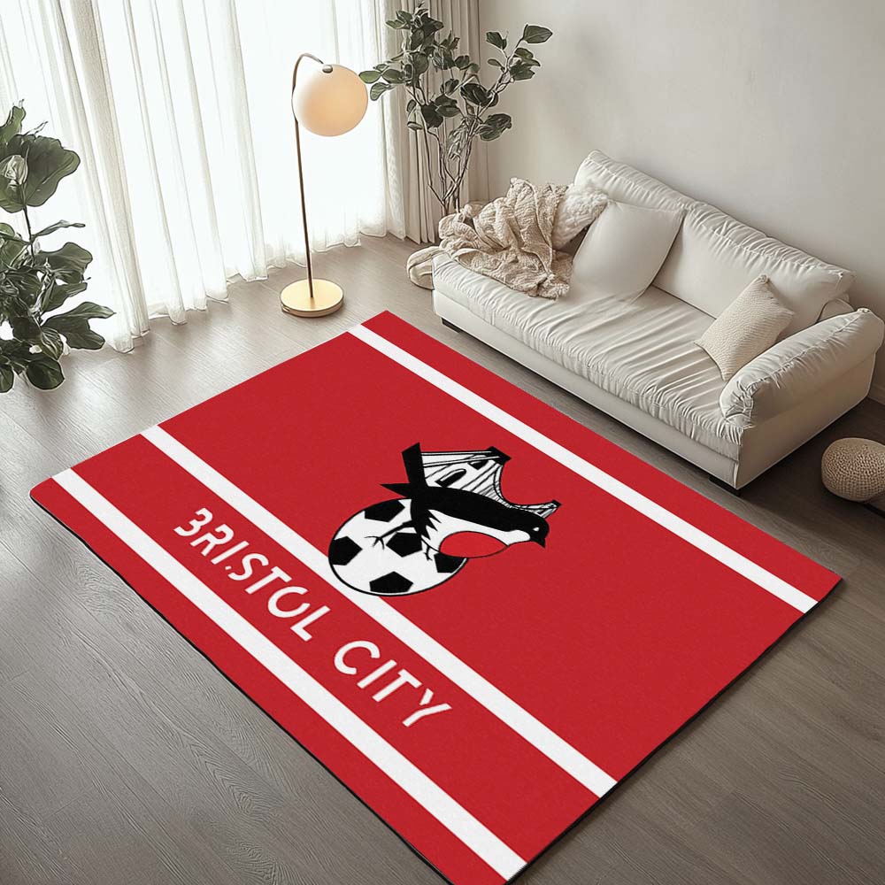 Bristol City FC EFL Championship 17 Teppich