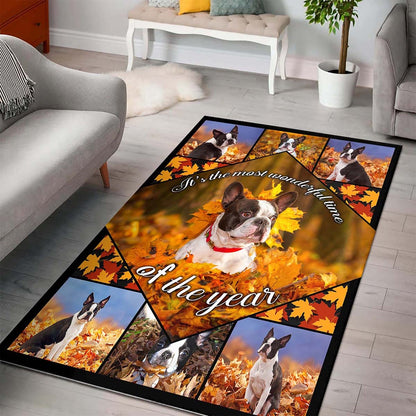 Boston Terrier So Cool Teppich